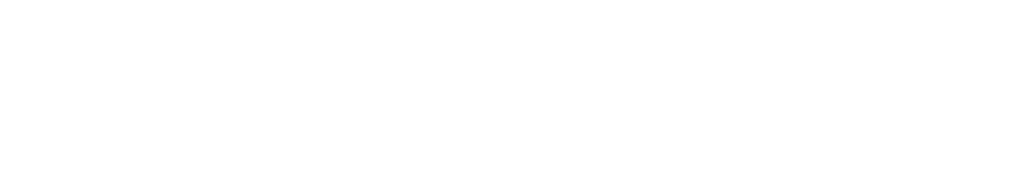 ANJI EXPRESS 安极海外仓